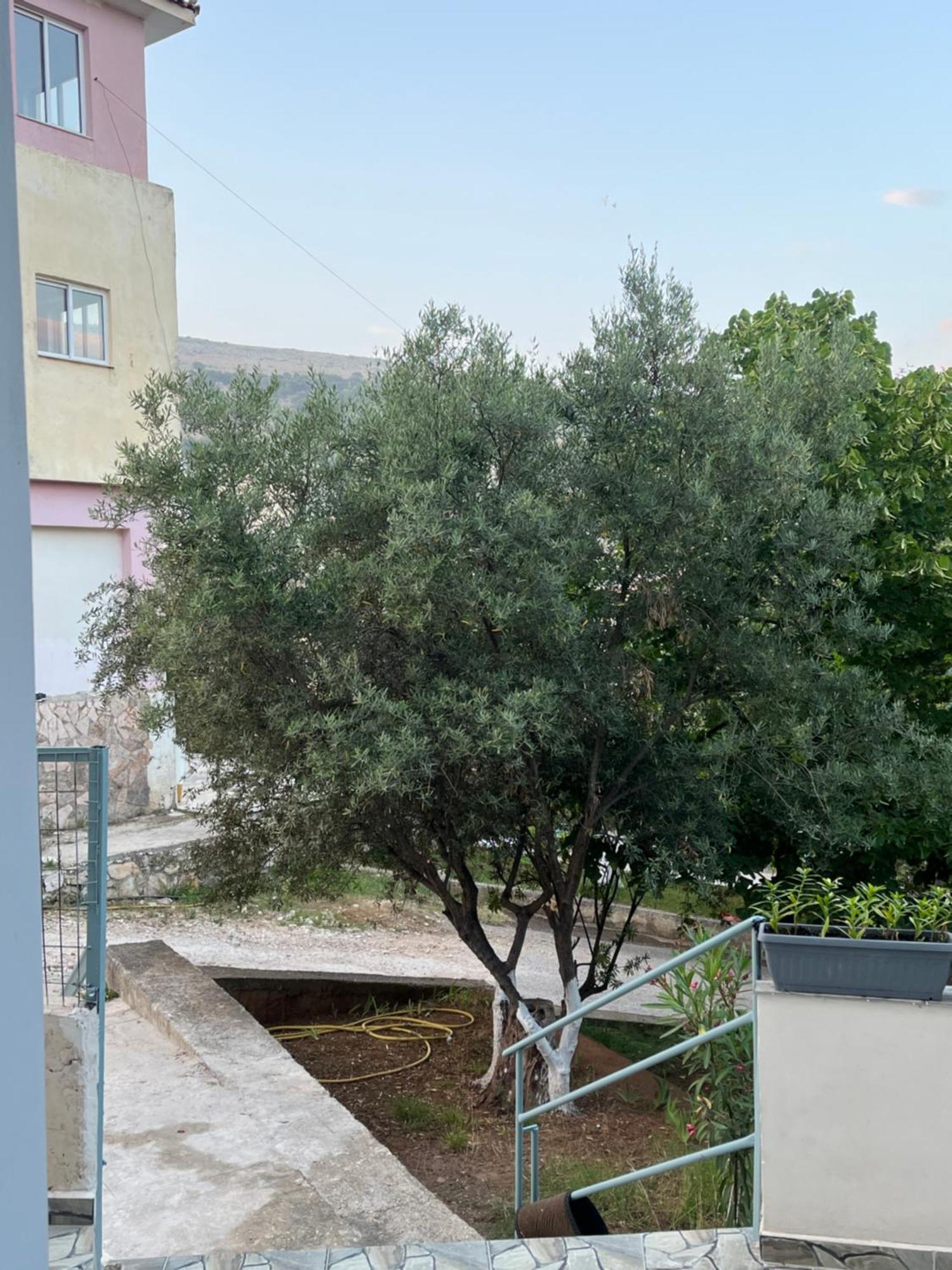 Apartament Delars
